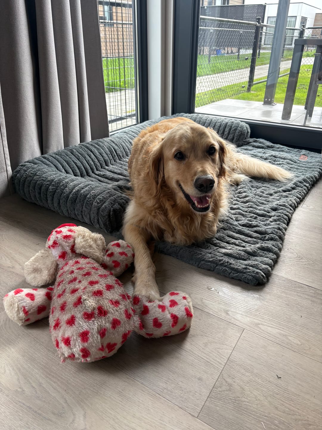 Customer photo review of Pet Perfect Luxe Bankbeschermer