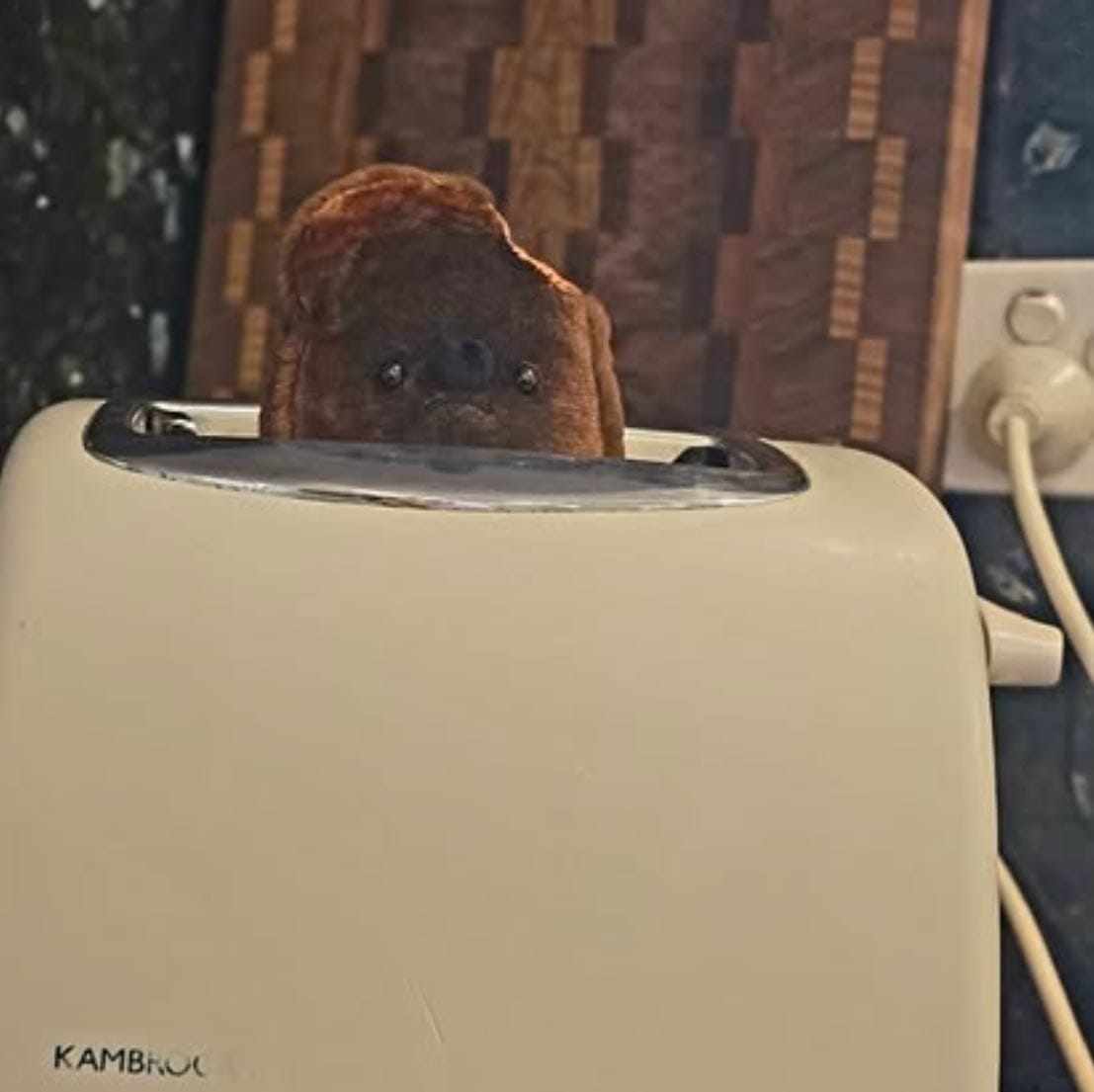 Customer photo review of Forgotten Burnt Toast