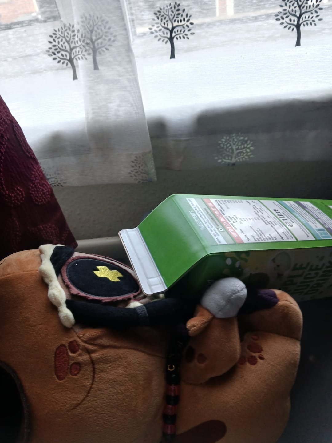 Customer photo review of Cyn T-Rex Plush