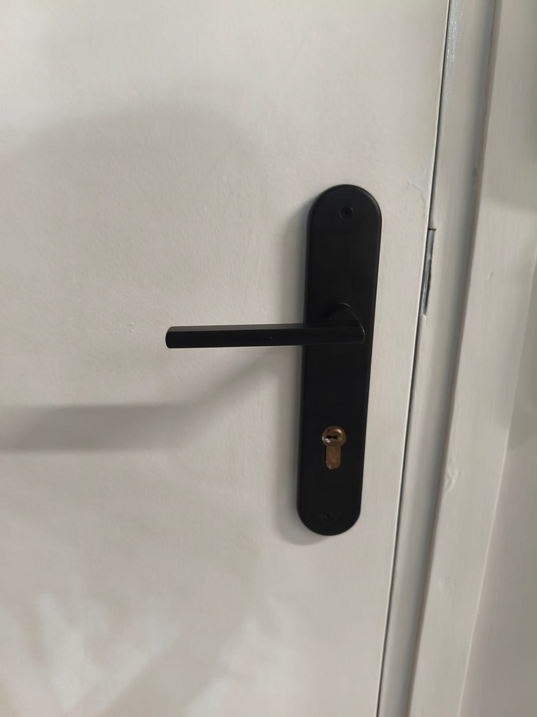 Customer photo review of Manilla modelo '530' de aluminio con placa ovalada acabado negro mate para puertas