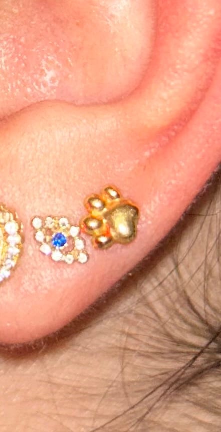 Customer photo review of Aretes Primera Perforacion Titanio