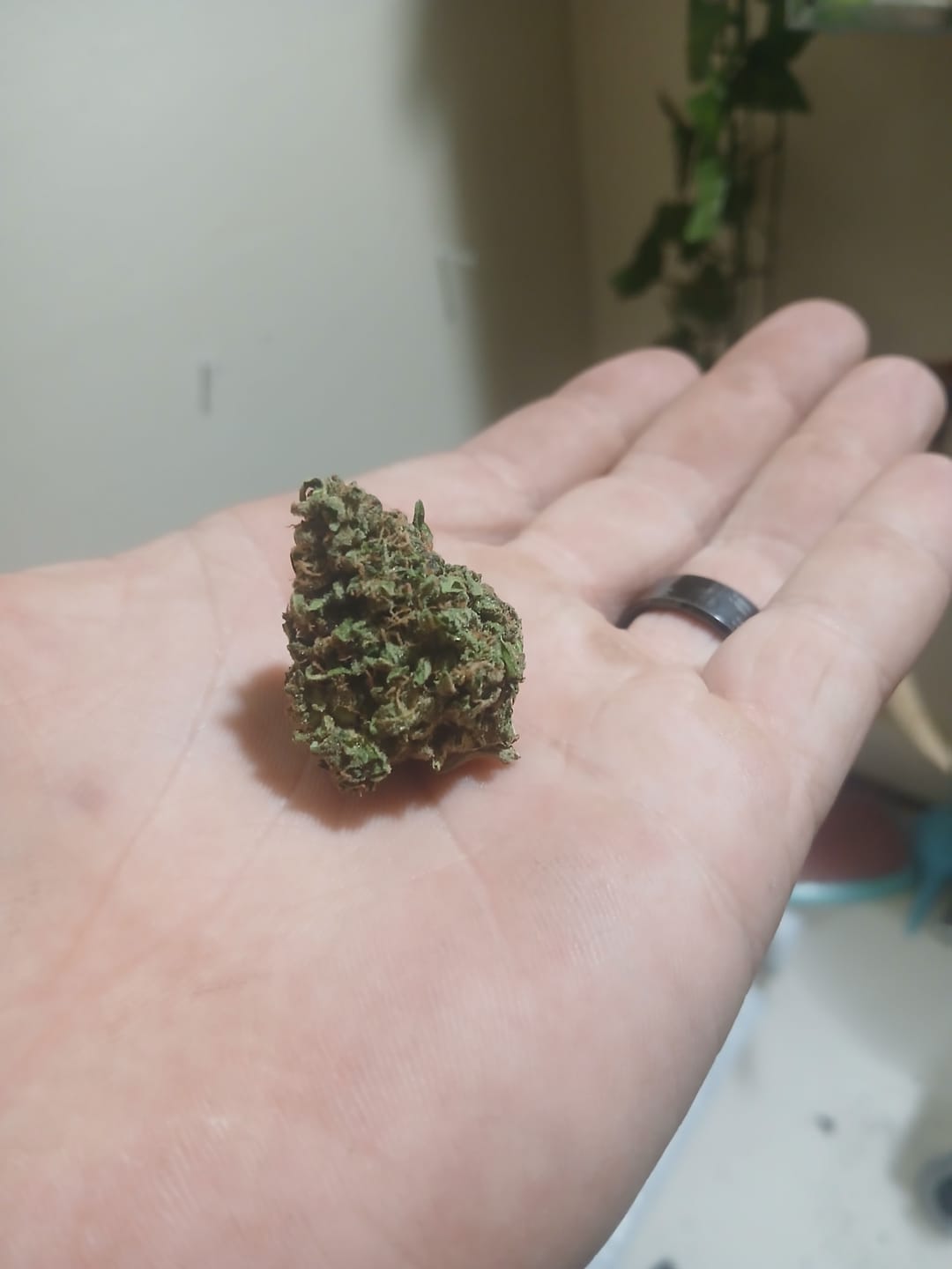 Customer photo review of LITTLES BRAND - Grape Gas - Littles - 28 Grams - Indica