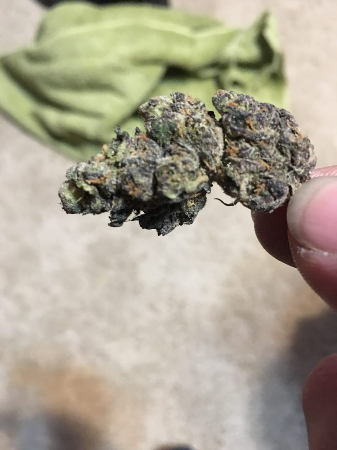 Customer photo review of Galactic Runtz Indoor MICROS - 14 Grams - Indica
