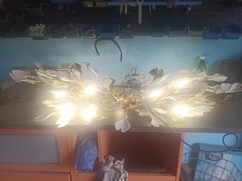 Customer photo review of Gingko Folia
