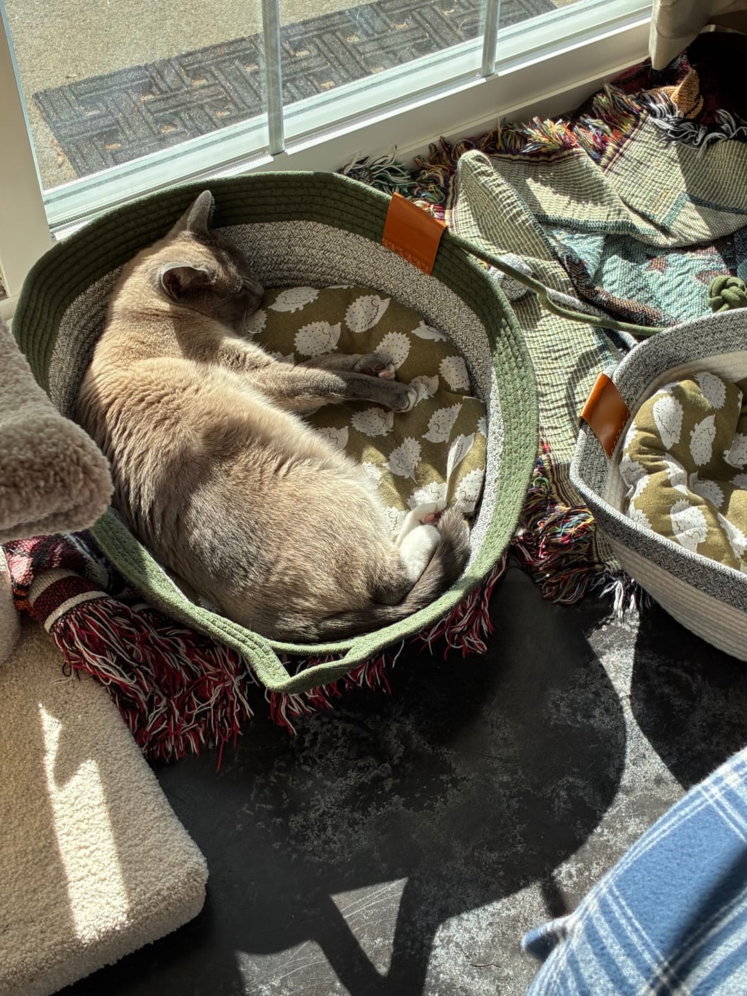 Customer photo review of Instinct Basket | Meet the first research-backed natural territory for indoor cats