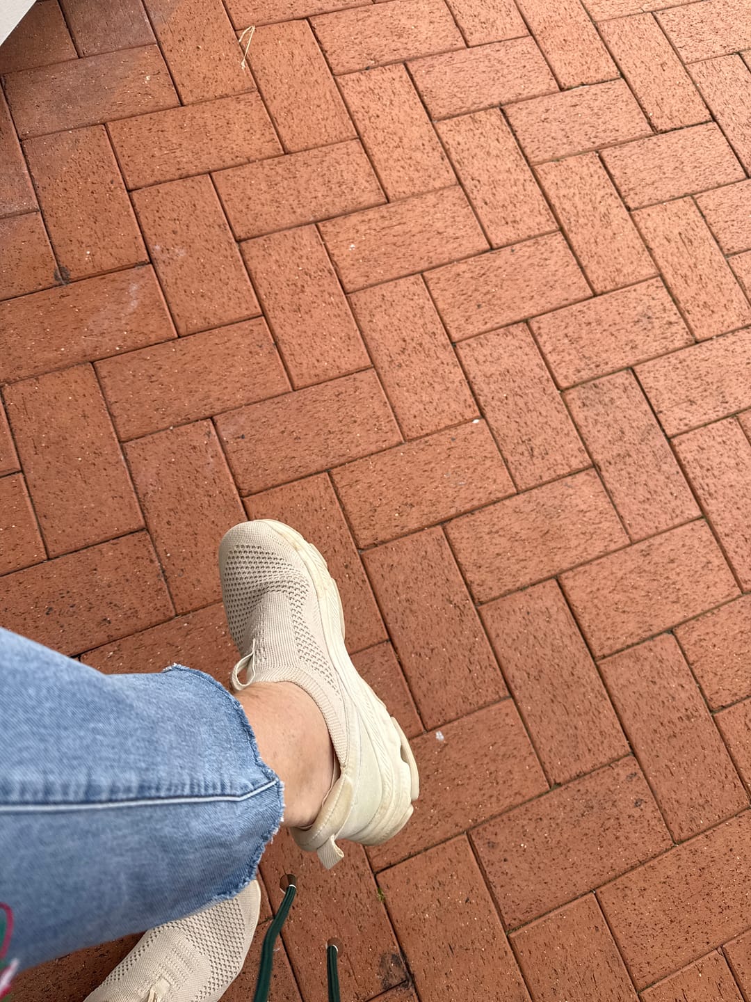 Customer photo review of 3 Pack Invisible Socks