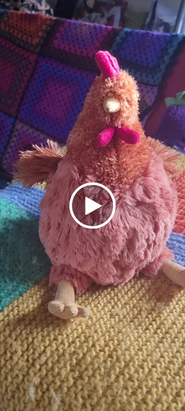 Customer video review of Cecile Chicken | Jellycat