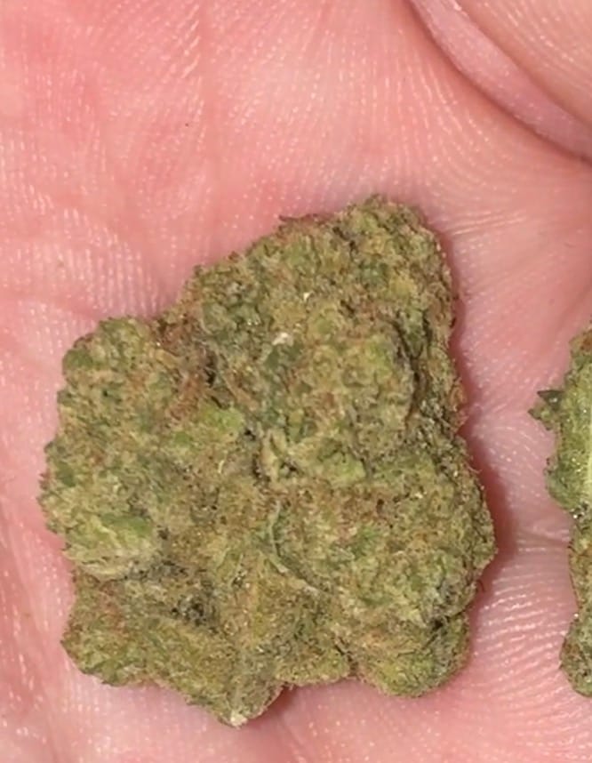 Customer photo review of ZAzooka THCA Flower