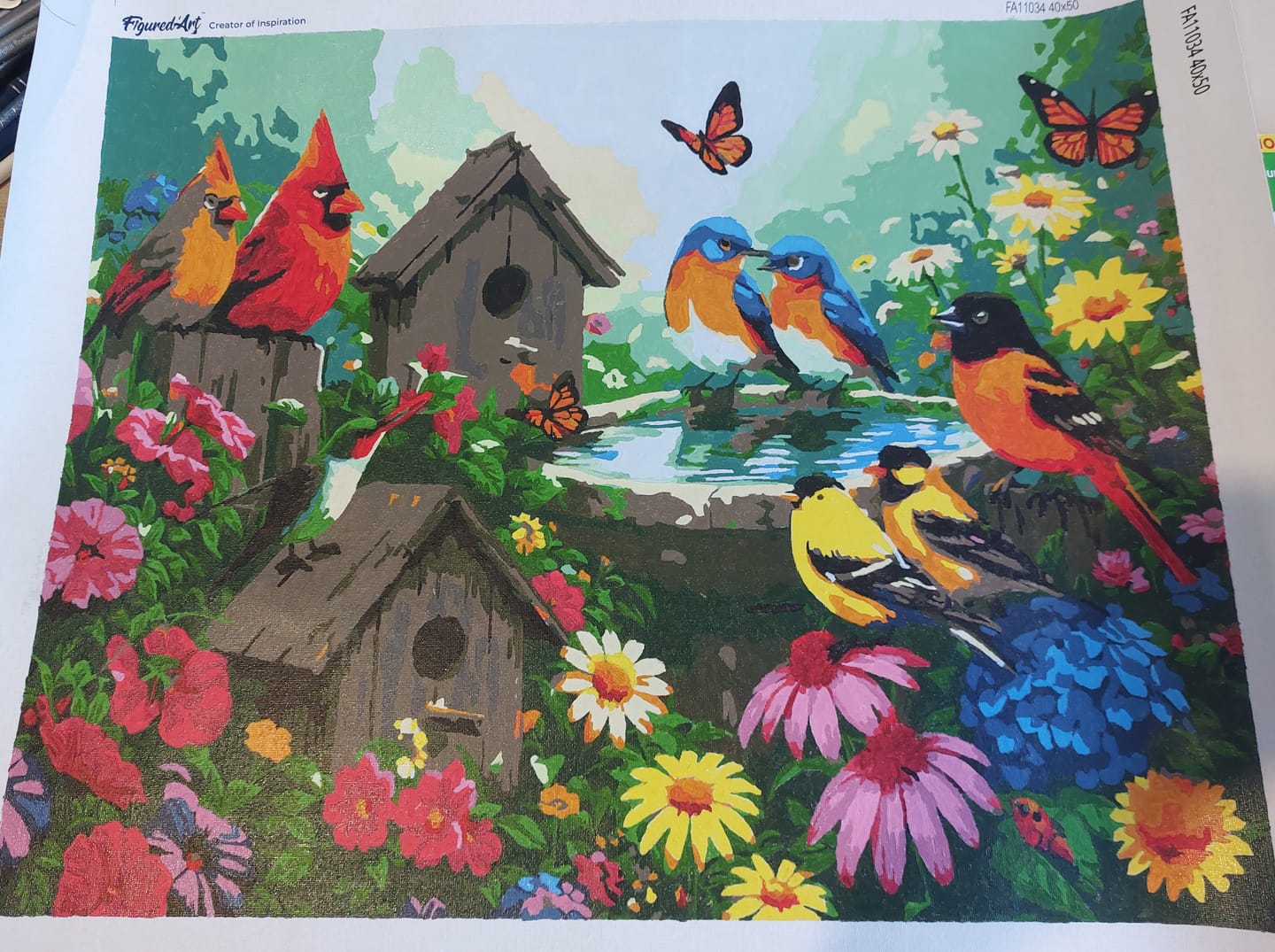 Customer photo review of Jardin du Chant des Oiseaux