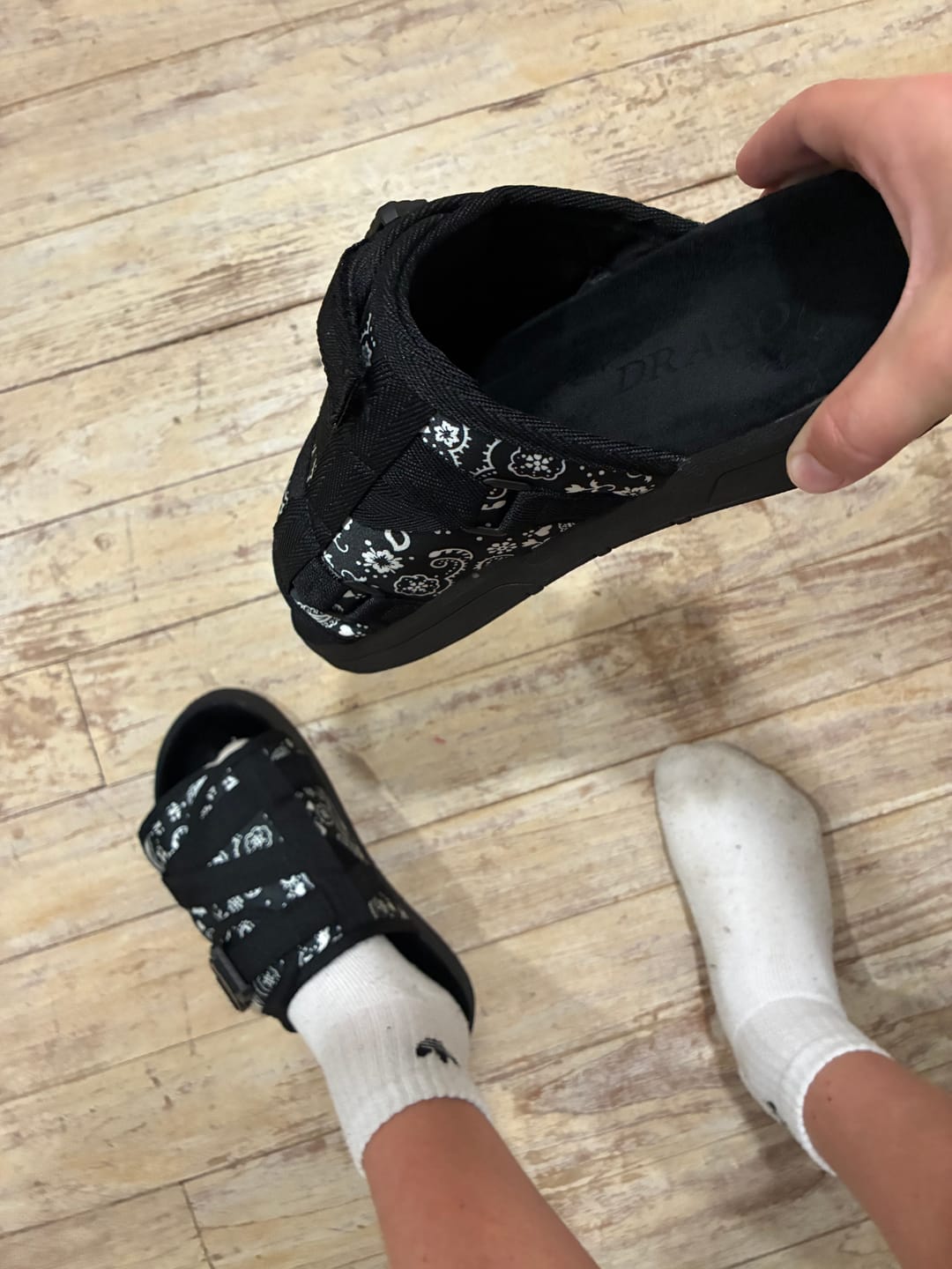 Customer photo review of Mystery DracoSlides (ADD 2 TO CART)