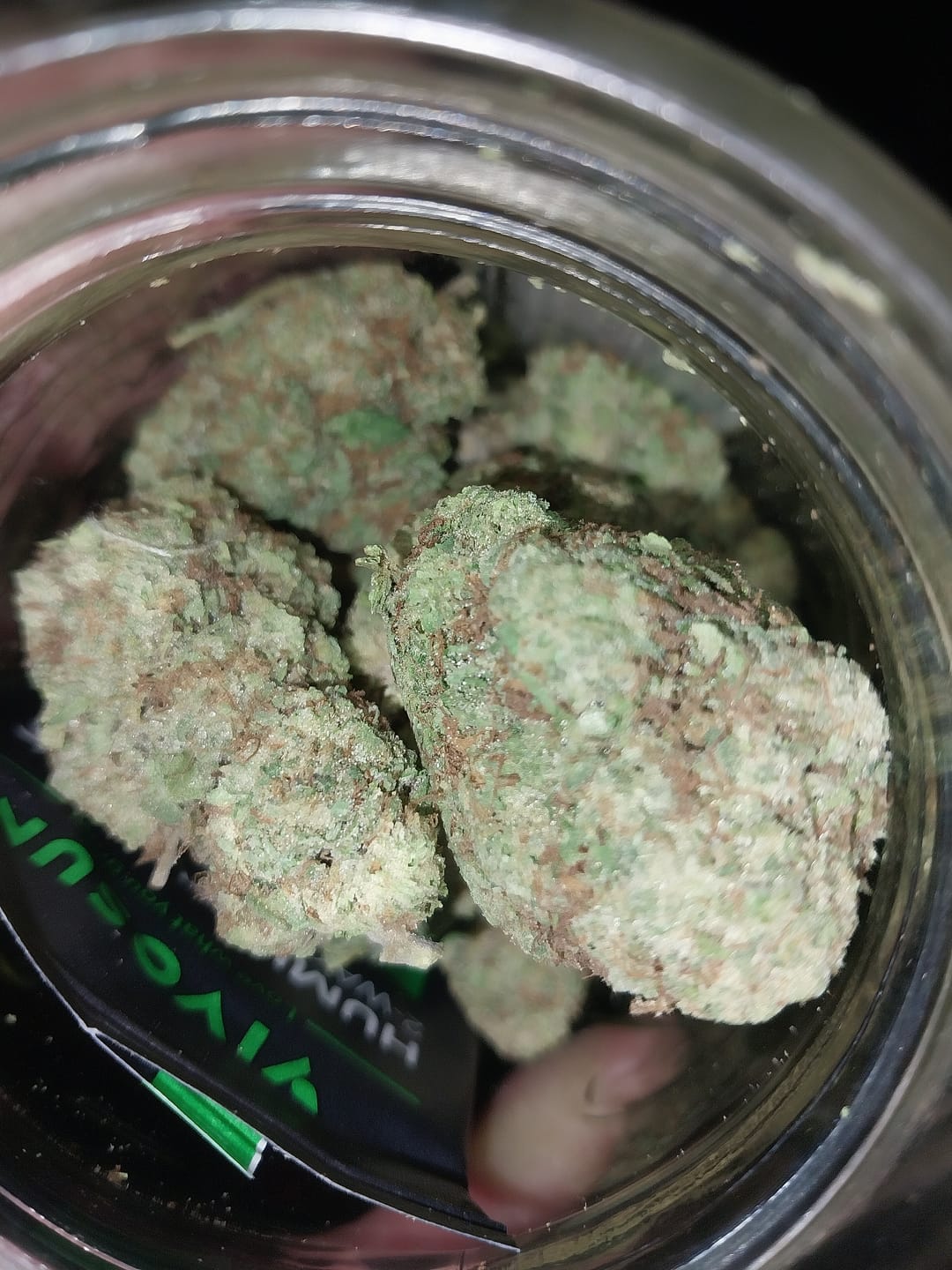 Customer photo review of Gorilla Glue THCA Flower