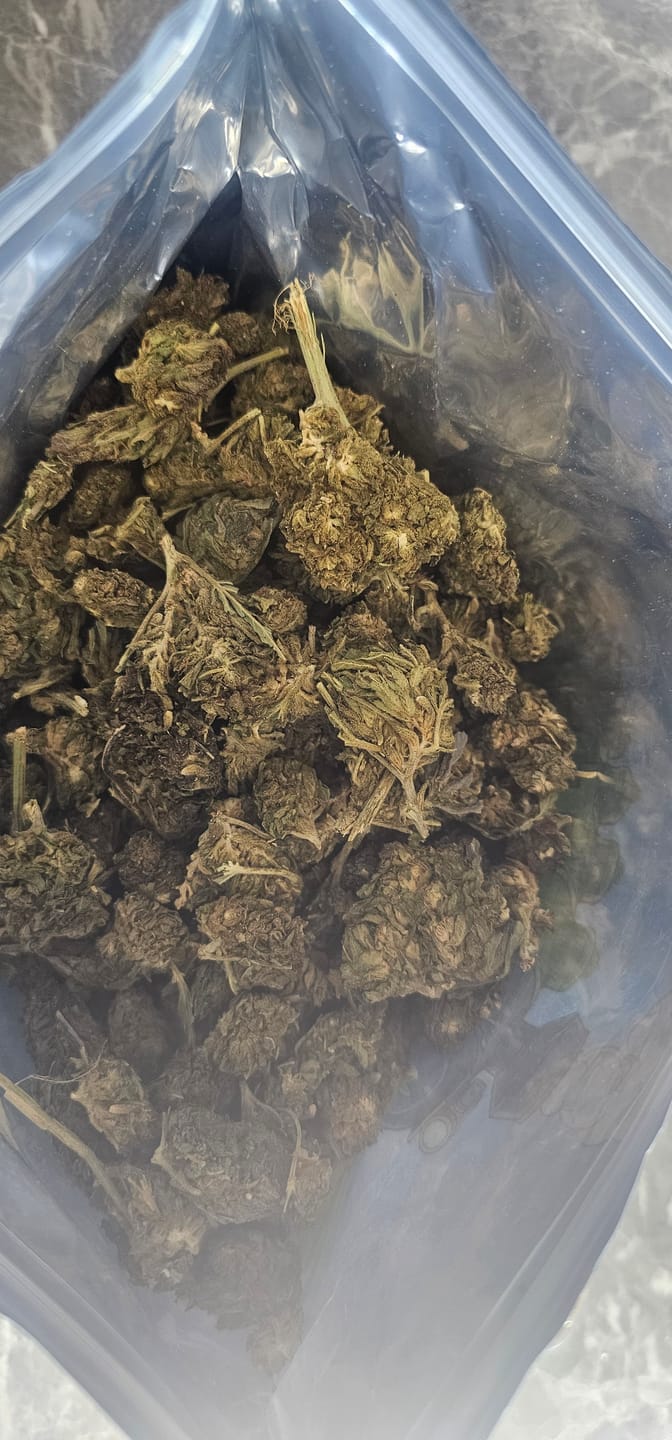 Customer photo review of Bulk THCA Flower Pounds