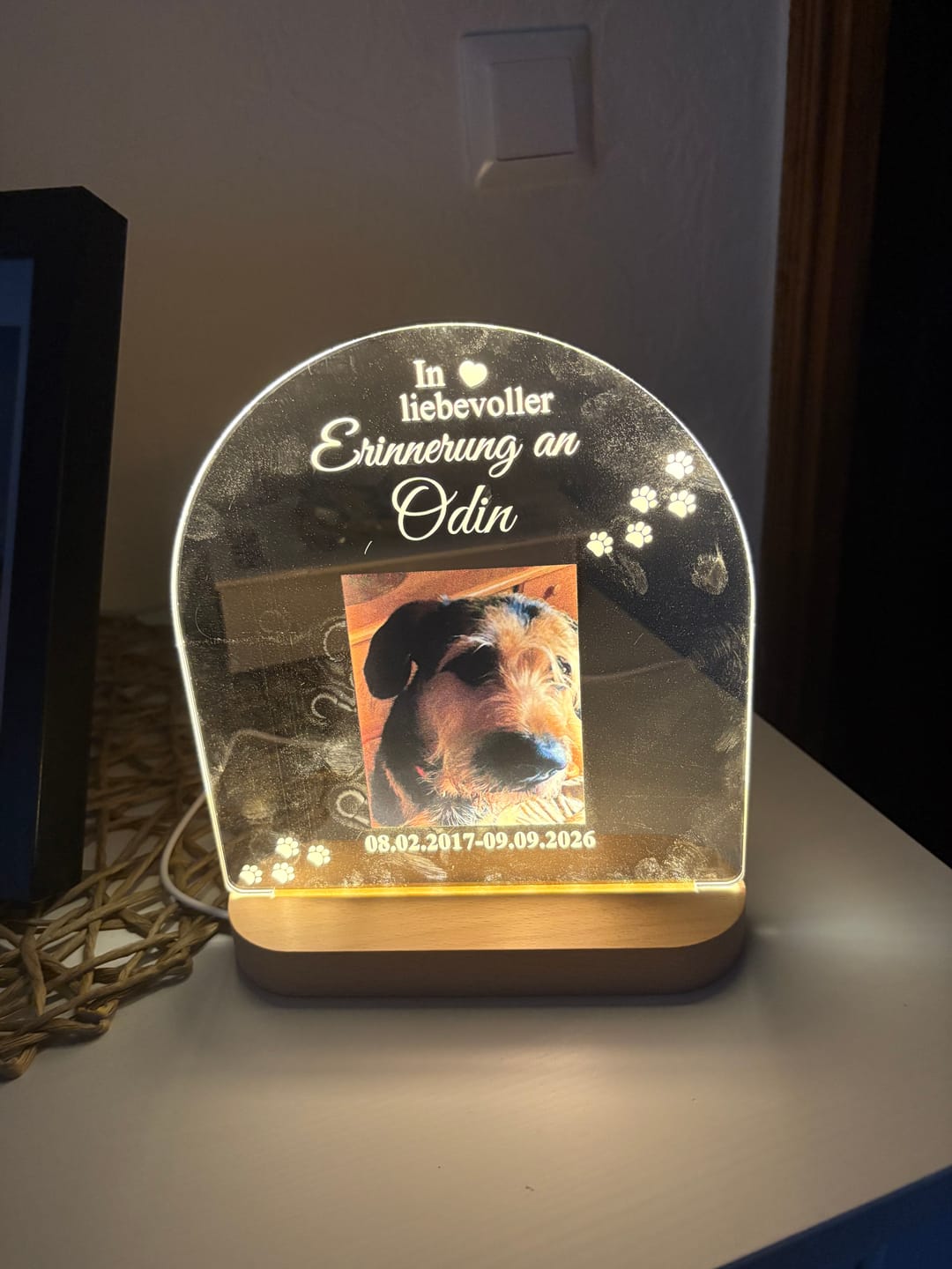 Customer photo review of Zur liebevollen Erinnerung – LED-Lampe für Hund/Katze
