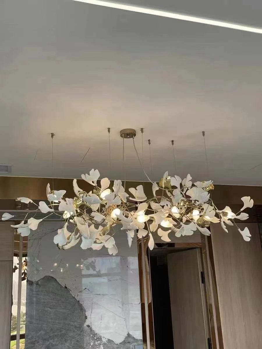 Customer photo review of Gingko Folia
