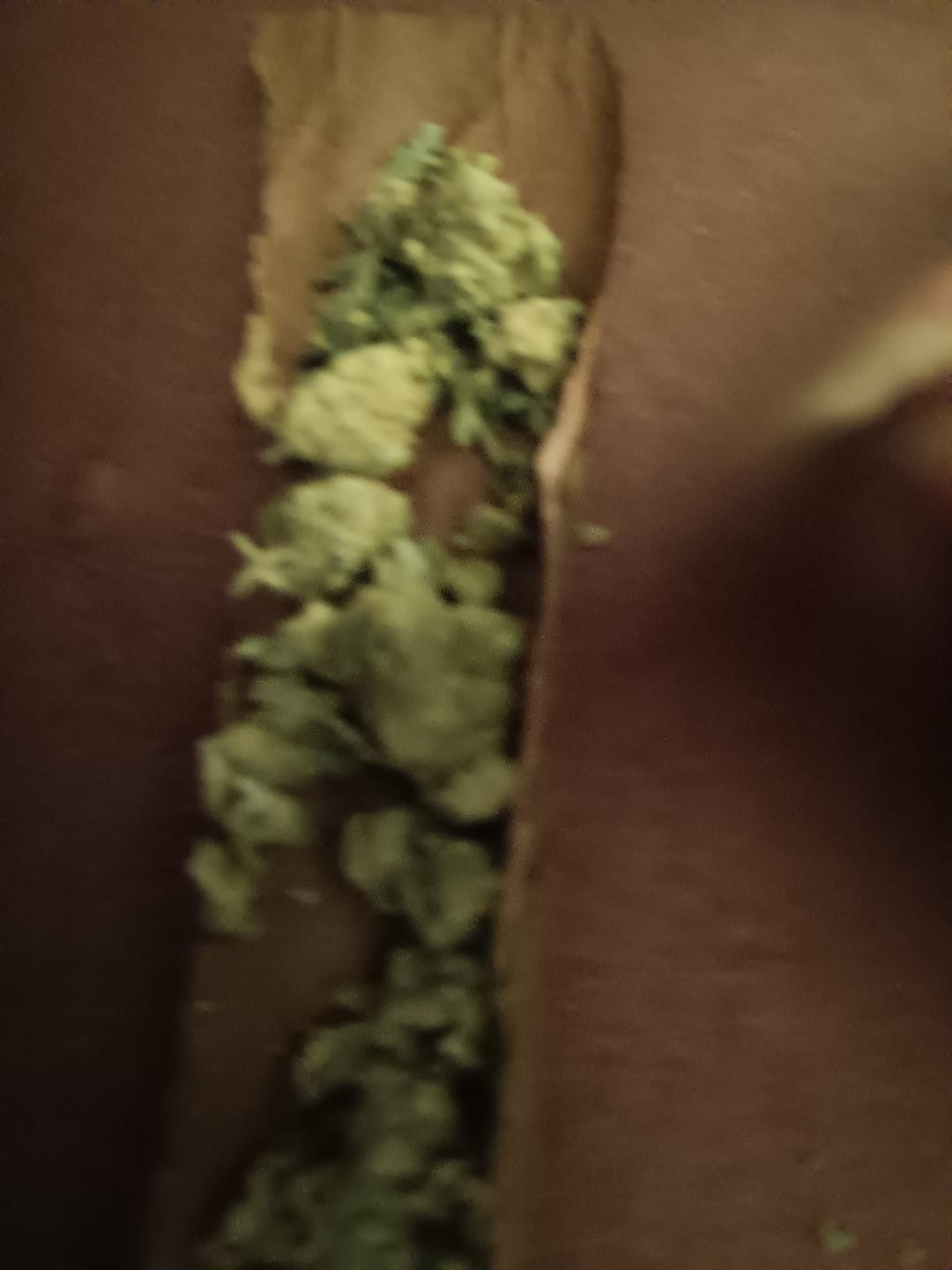 Customer photo review of Bulk Indoor THCA Smalls