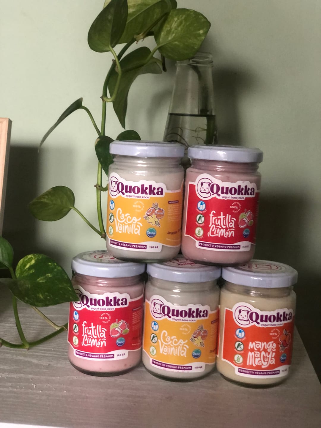 Customer photo review of Yogurt Vegano de Coco Pack 6 x 150gr. Mix Sabores