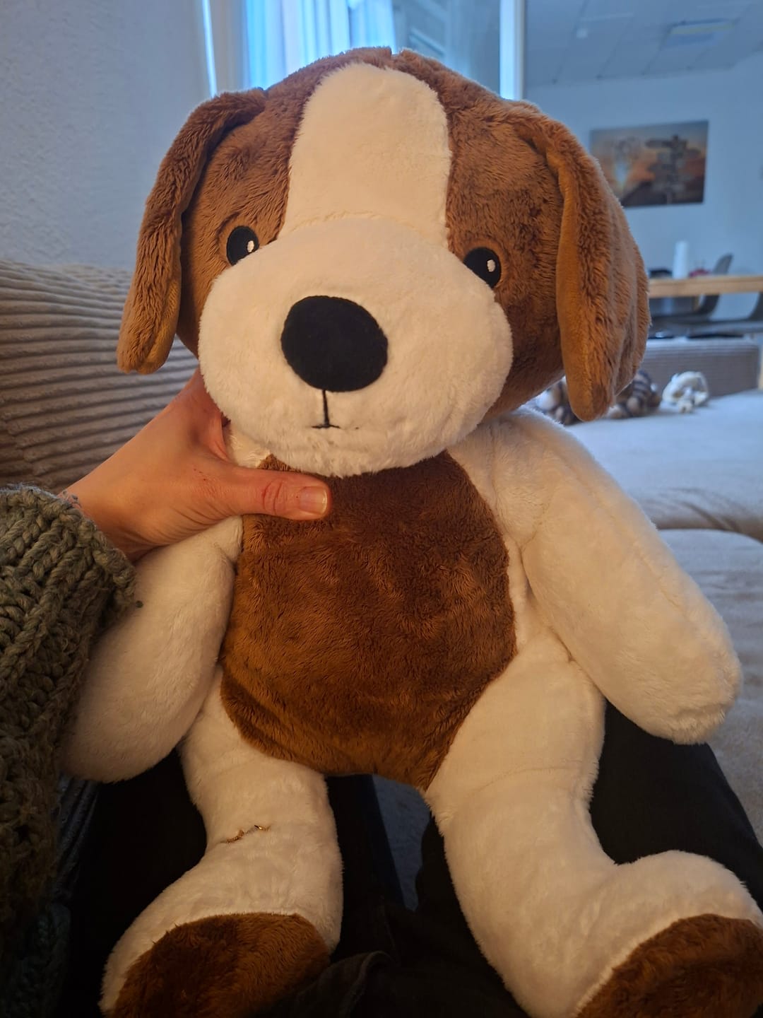 Customer photo review of Lotgenootje Hond 2kg