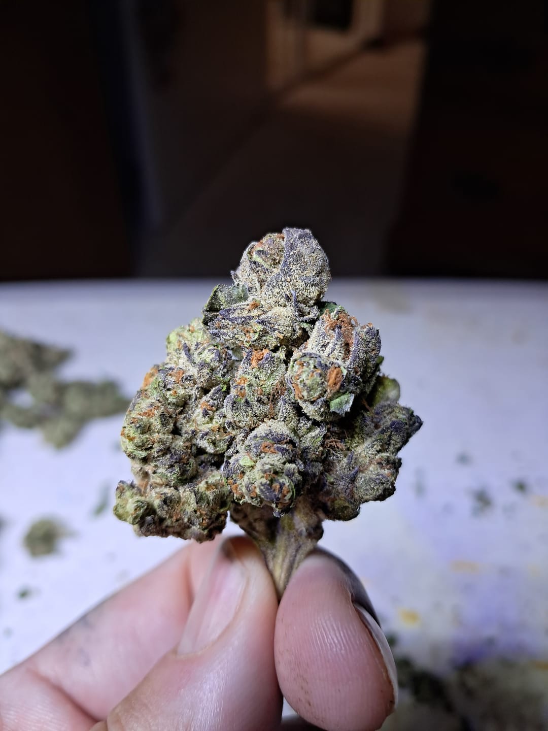 Customer photo review of Hyper Za THCA Flower