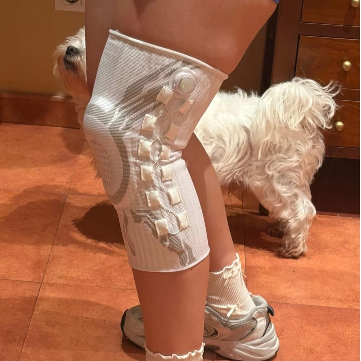 Customer photo review of LenKnee - Knästöd för trygg & smärtfri träning