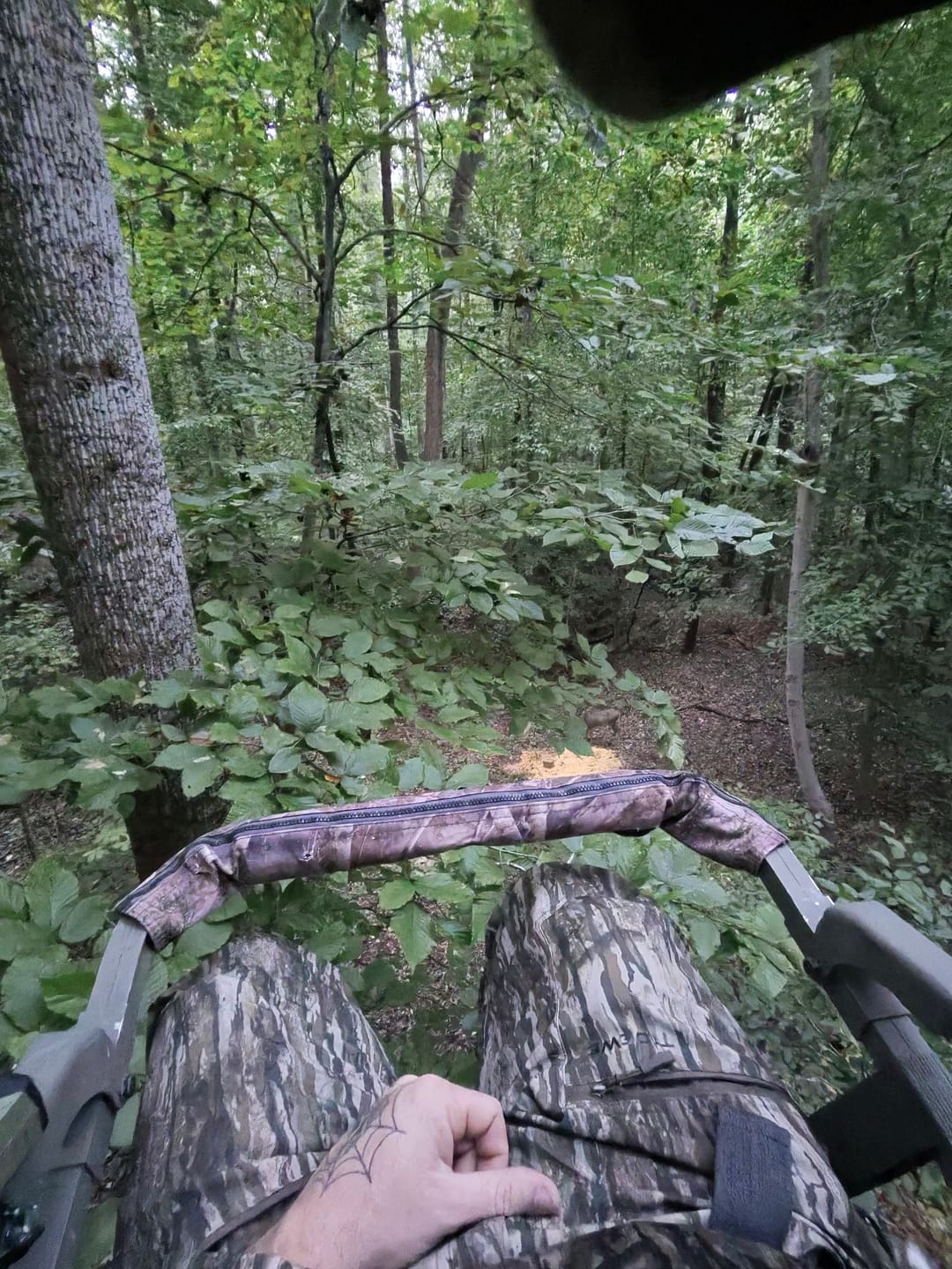 Customer photo review of TIDEWE Whitetail Hunting Suit for Men | Early Season Hunting Camo Shirt & Camo Pants | Breathable Hunting Clothes with Odor Control