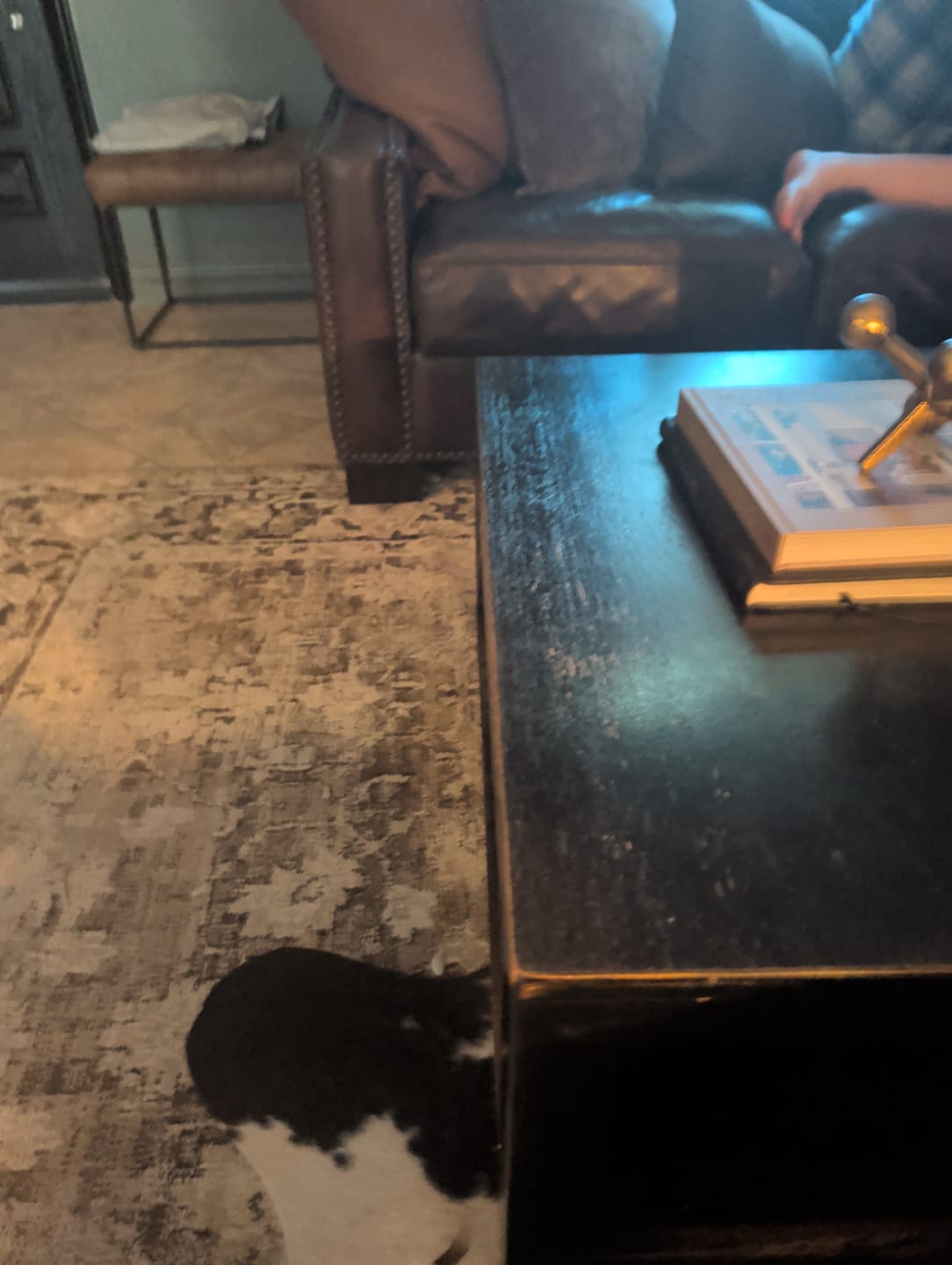 Customer photo review of Vivienne Washable Vintage Brown Rug