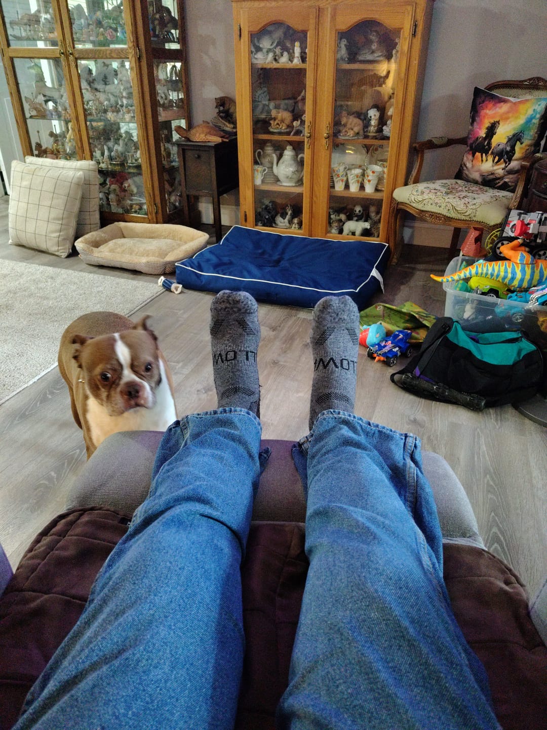 Customer photo review of The Alpaca Socks