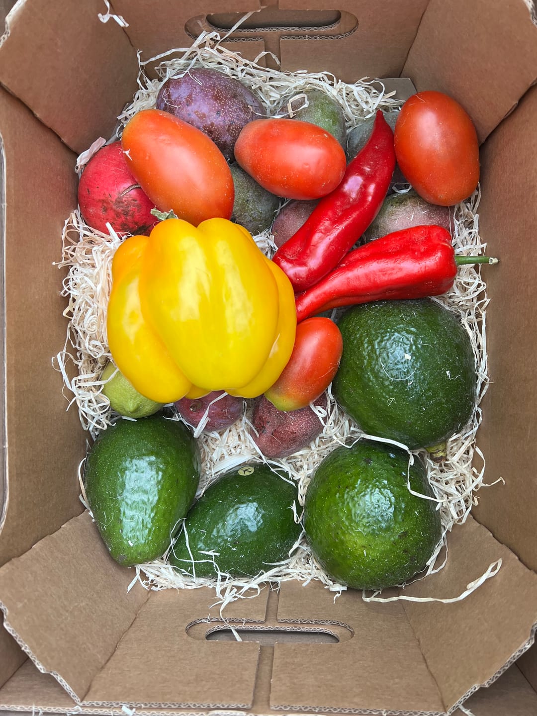 Customer photo review of Bio Obst & Gemüse Retterbox 5kg