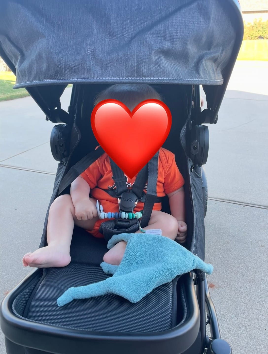 Customer photo review of The Entourage 2.0