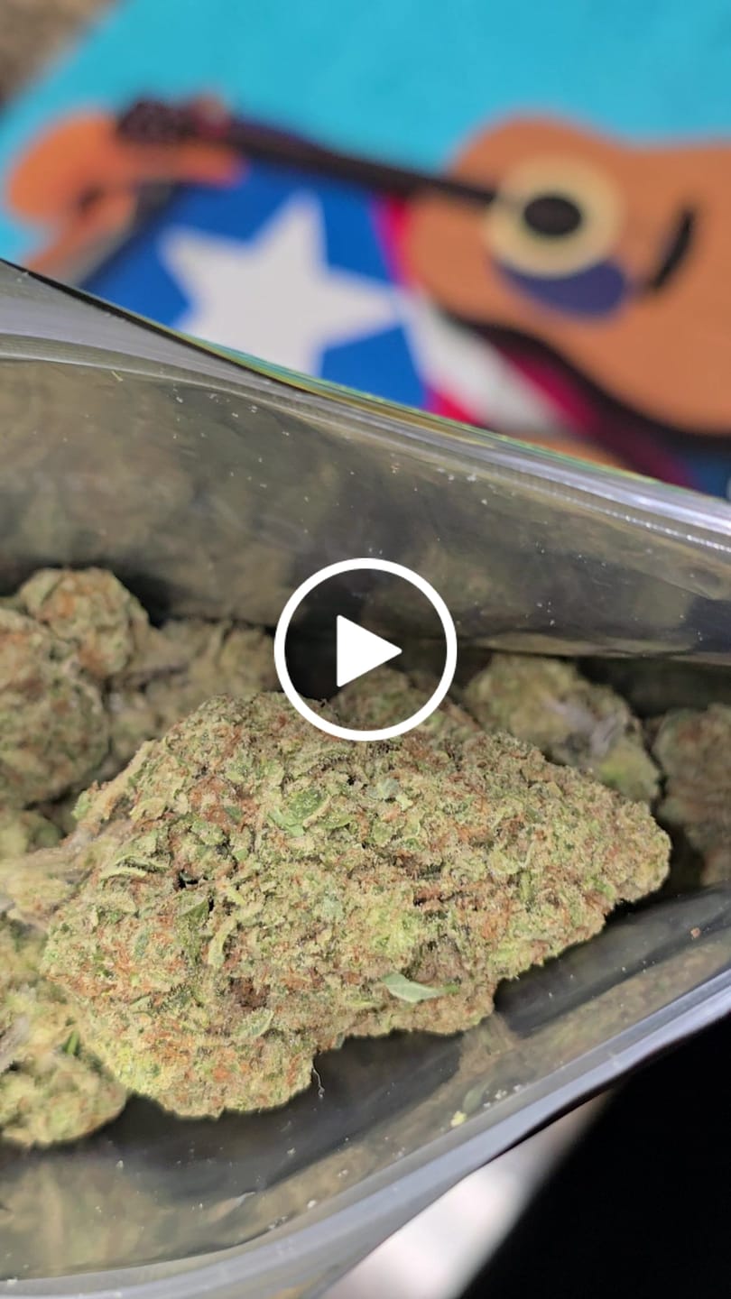 Customer video review of Strawberry Cough THCA Flower