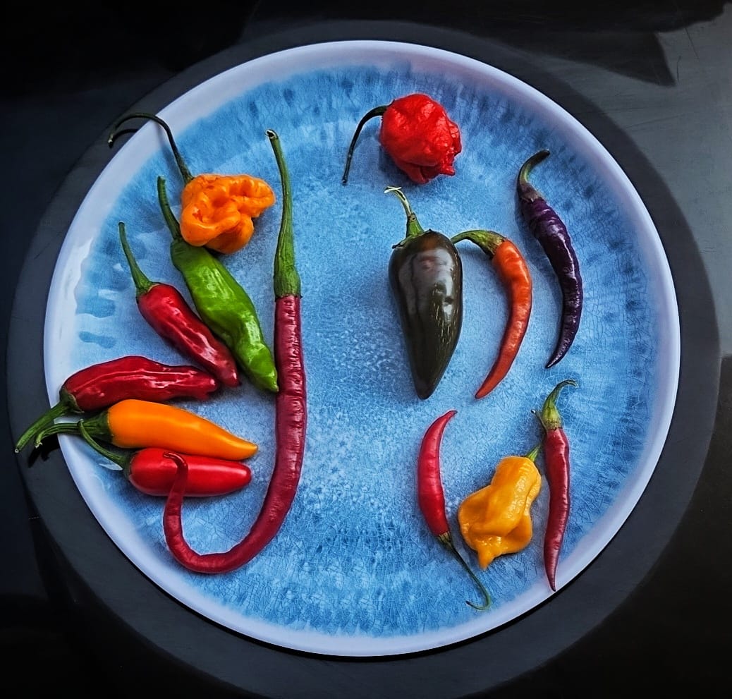 Customer photo review of Mini Fresh Chili Mix