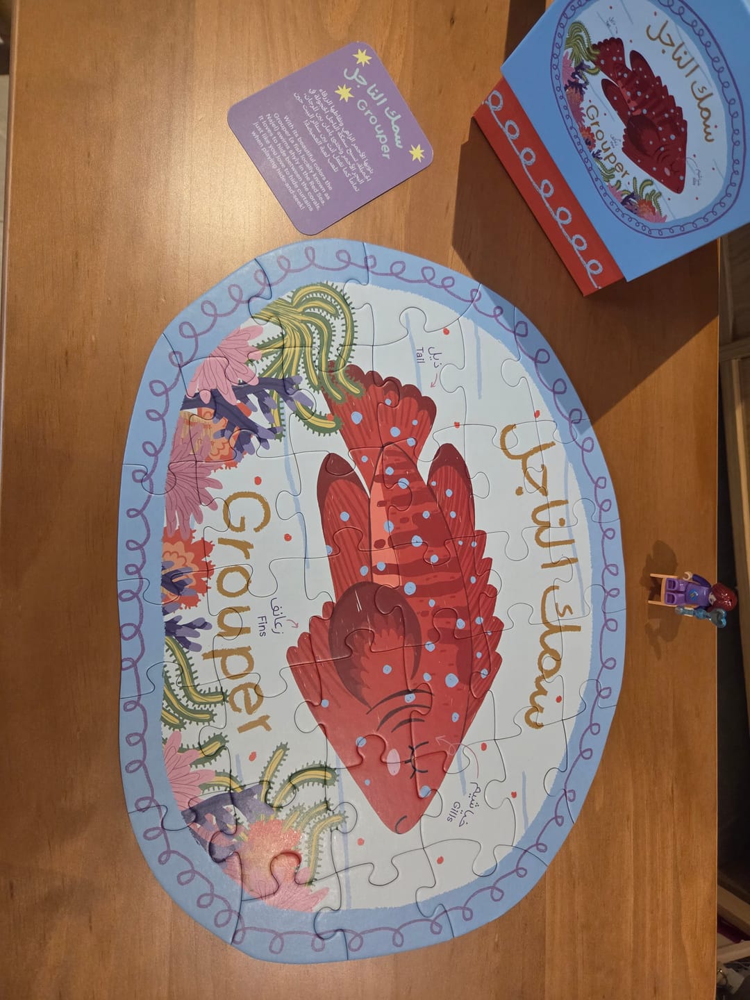 Customer photo review of Grouper Mini Puzzle
