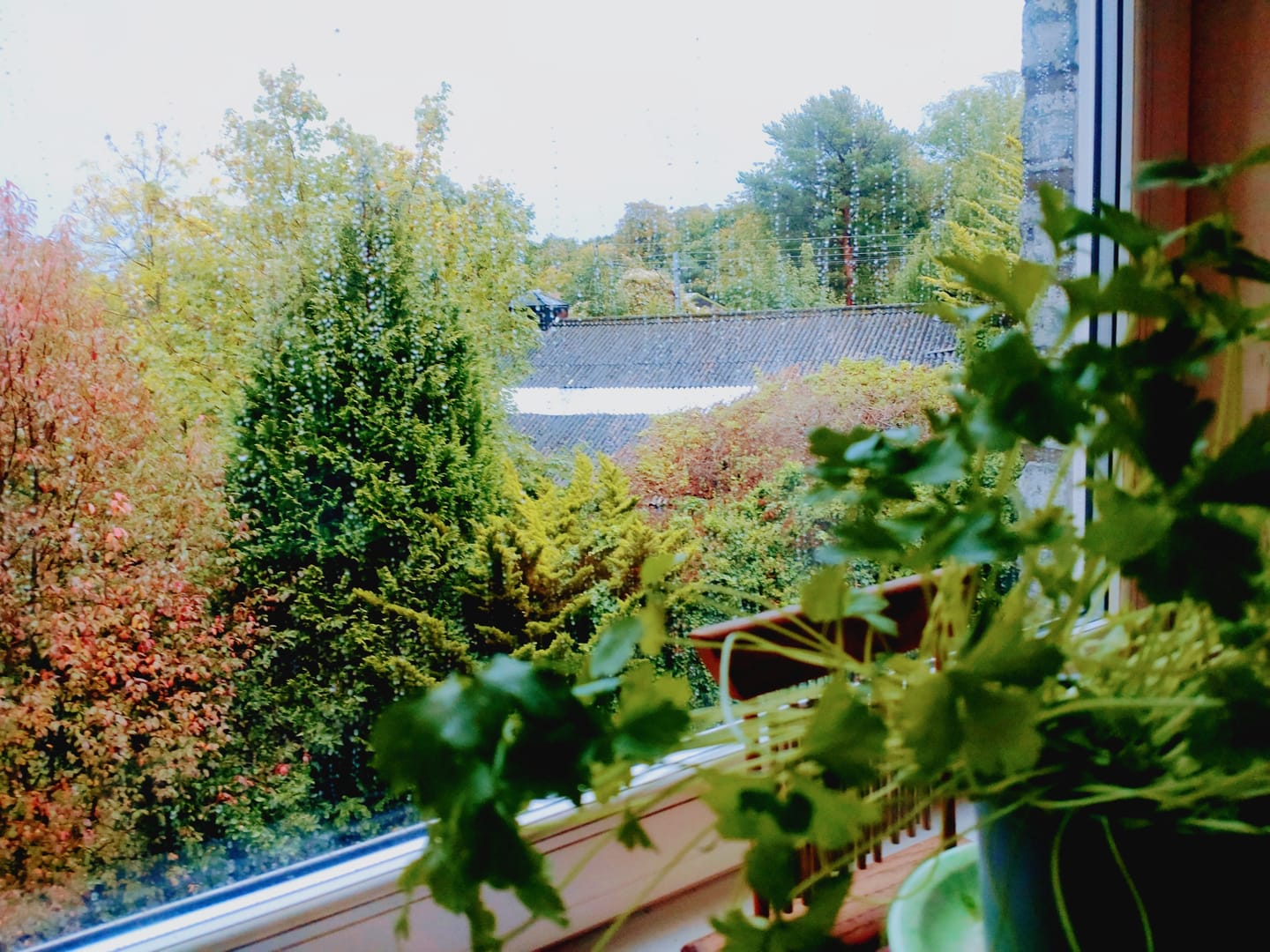 Customer photo review of PlantWave