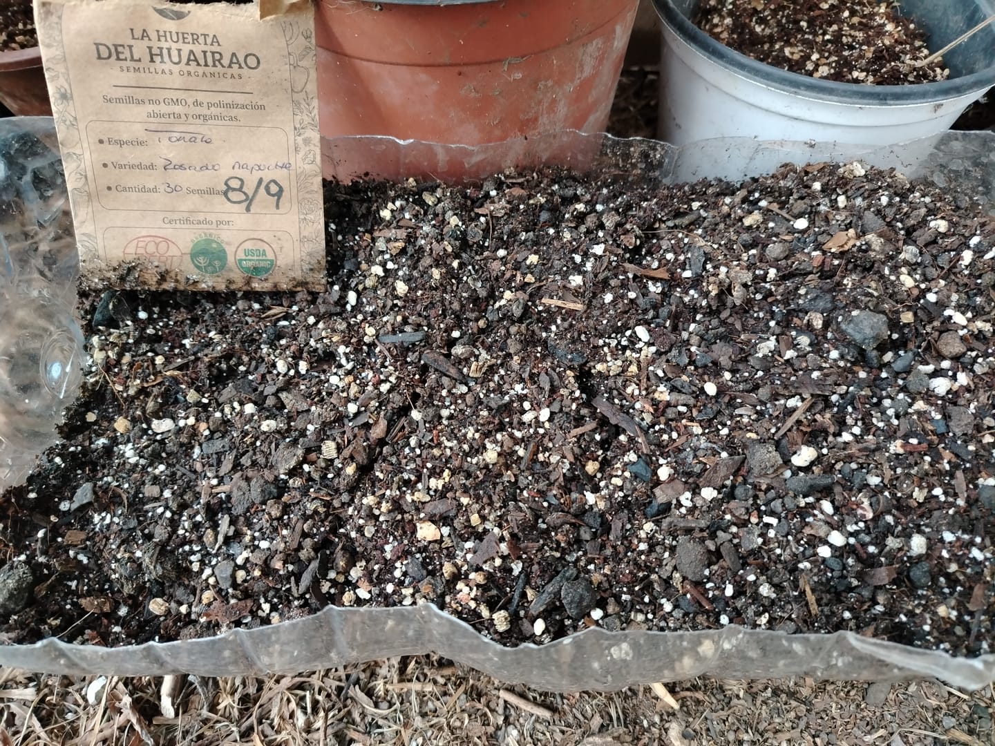 Customer photo review of Semillas Tomate Rosado Mapuche