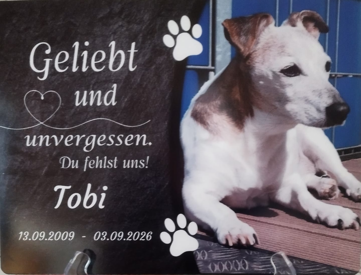 Customer photo review of Hunde Gedenktafel mit Foto & Spruch (UV- & Wetterfest)