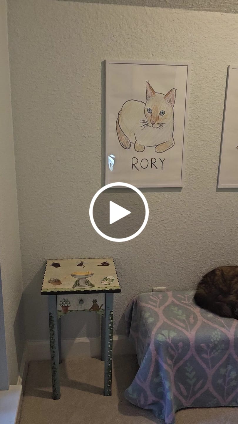 Customer video review of Scribble - Personalized Poster