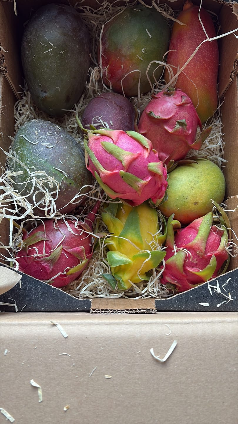 Customer photo review of Drachenfrucht bunter Mix Bio von Salvador Aktionswoche %