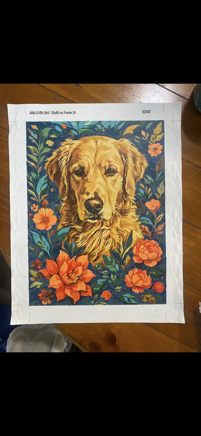 Customer photo review of Pet Custom Paint by Numbers (Style III)