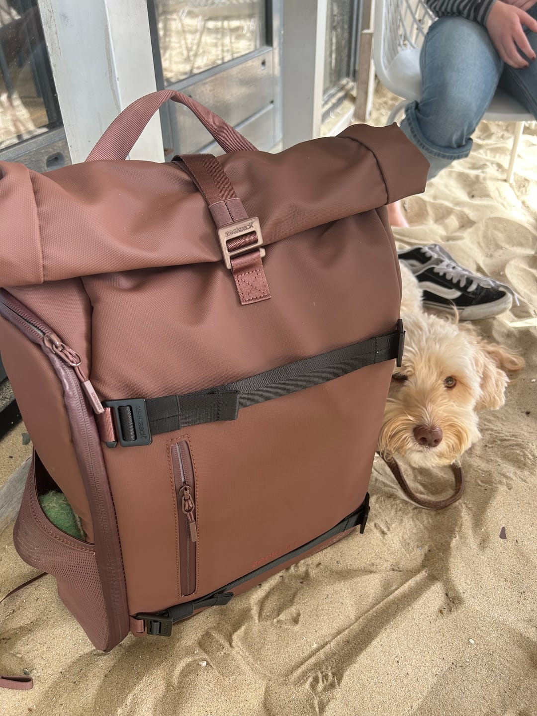 Customer photo review of The Rolltop 25L