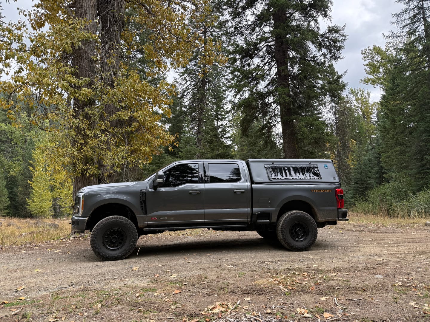 Customer photo review of FULL-STANDARD SD CAP66