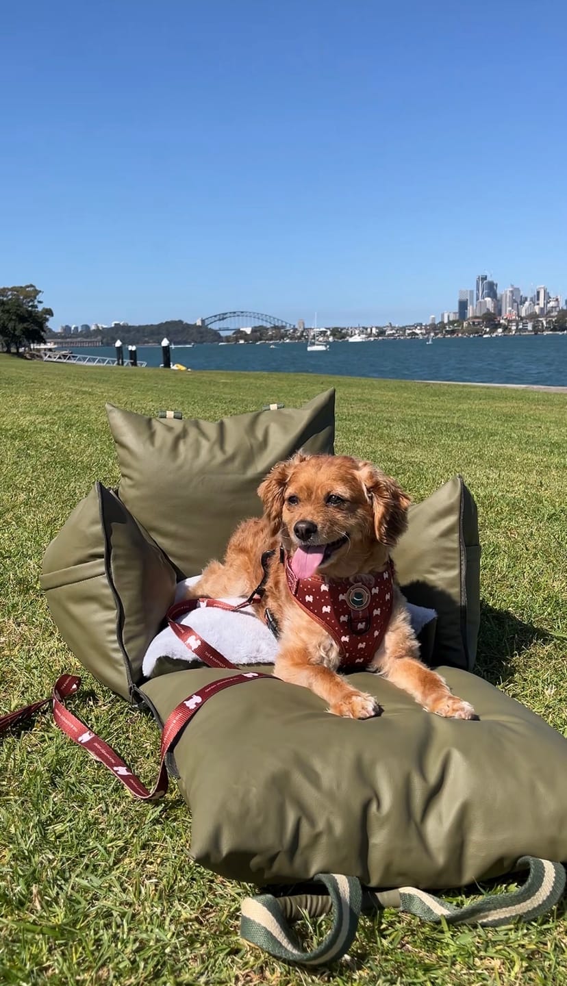 Customer photo review of Boujee Booster