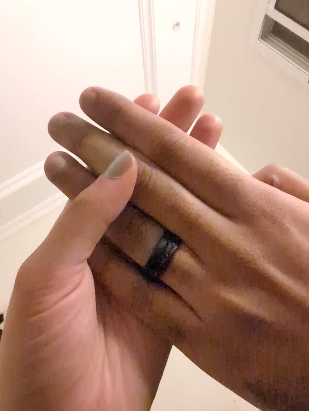 Customer photo review of The Meteorsaur