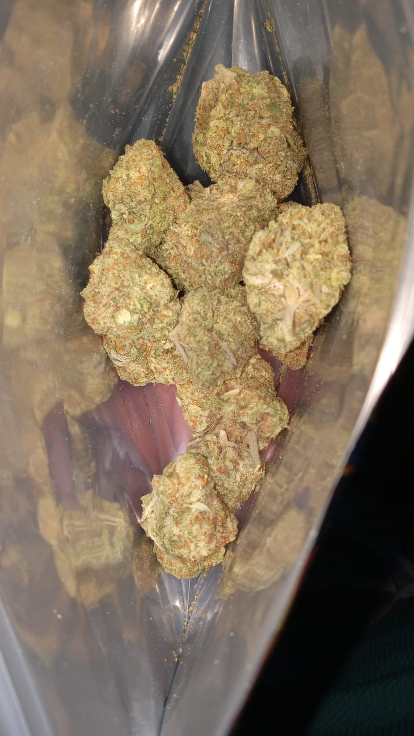 Customer photo review of Acapulco Punch THCA Flower