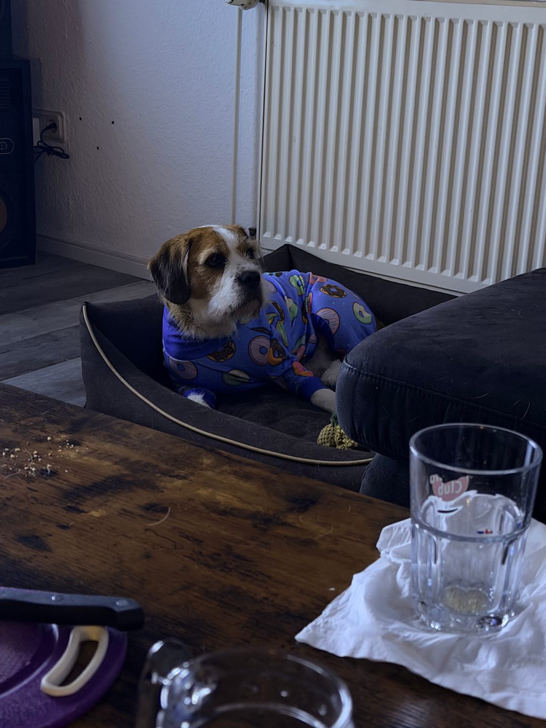 Customer photo review of Dog Pajama - Avocado