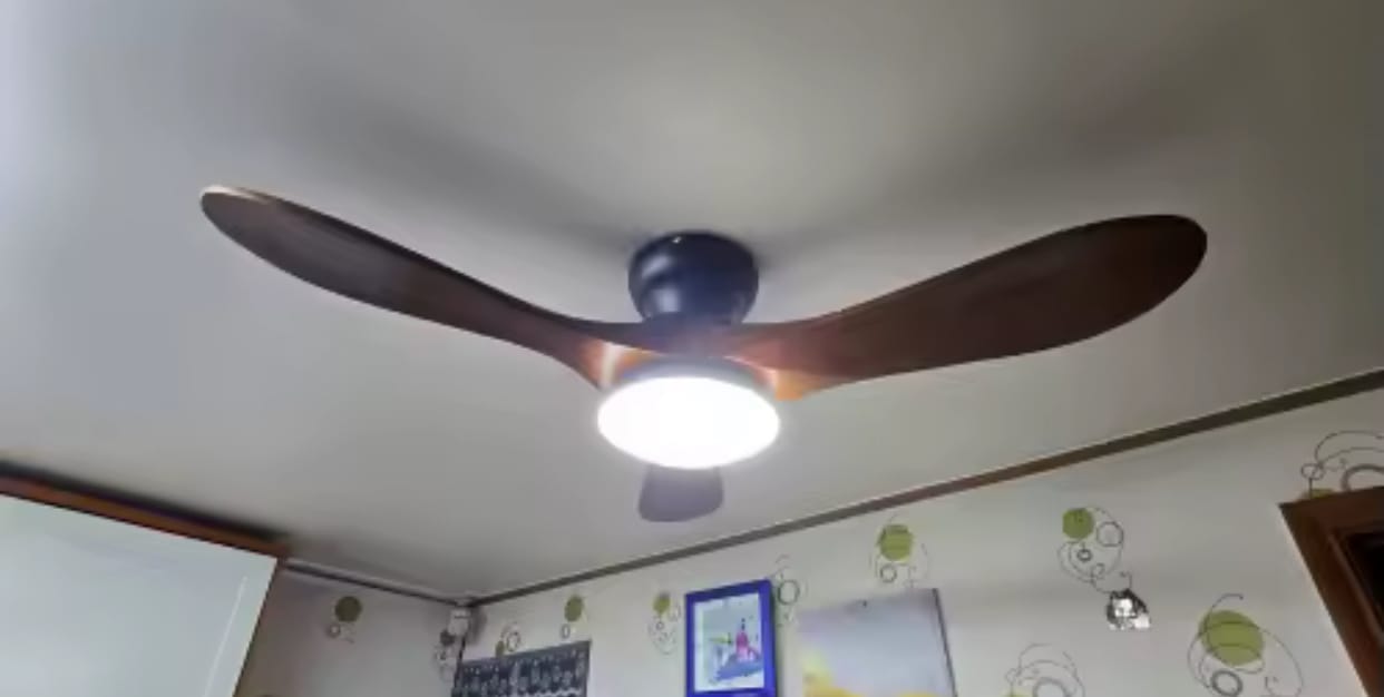 Customer photo review of Ventilateur de Plafond avec moteur DC