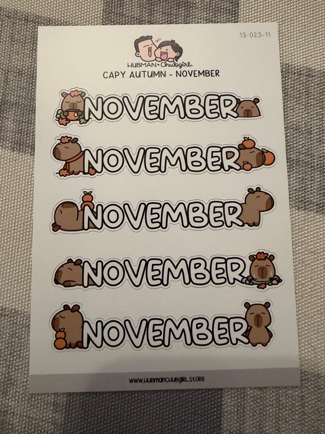 Customer photo review of Capy Autumn - Months 2 Planner Stickers