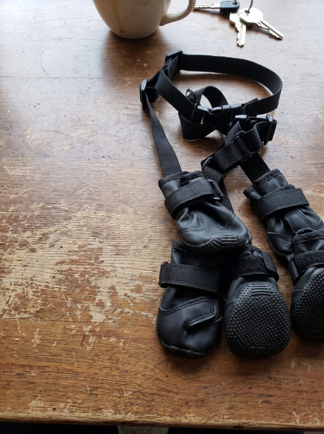 Customer photo review of Botas impermeables para perro