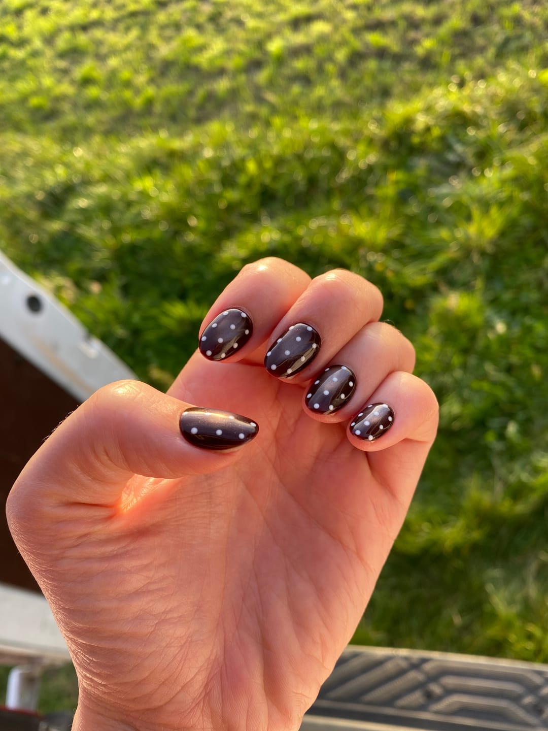 Customer photo review of Cocoa Dot