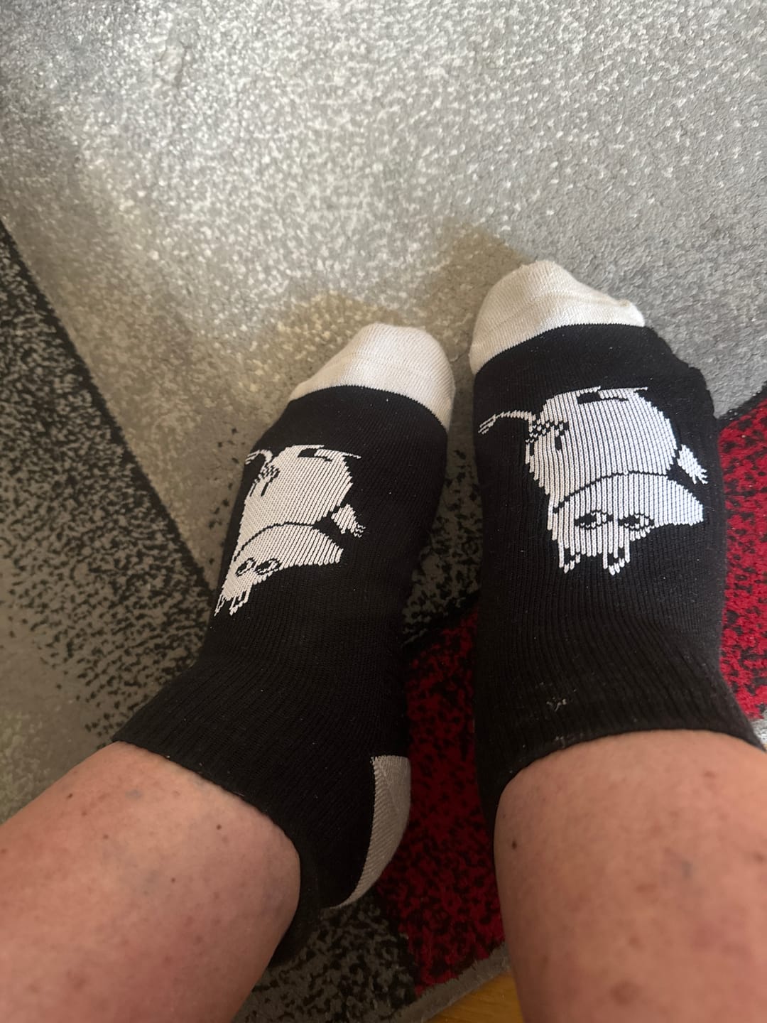 Customer photo review of Moomin ankelstøttestrømper