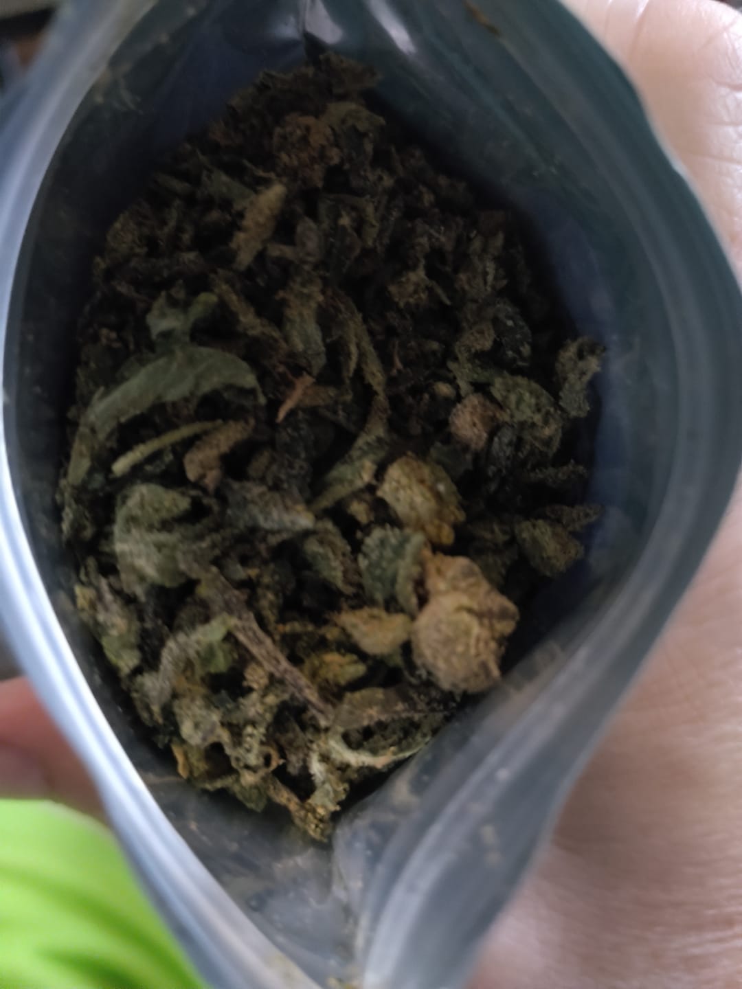 Customer photo review of (Buy 1 Get 2 Free) No7. Super Runtz THCa Shake