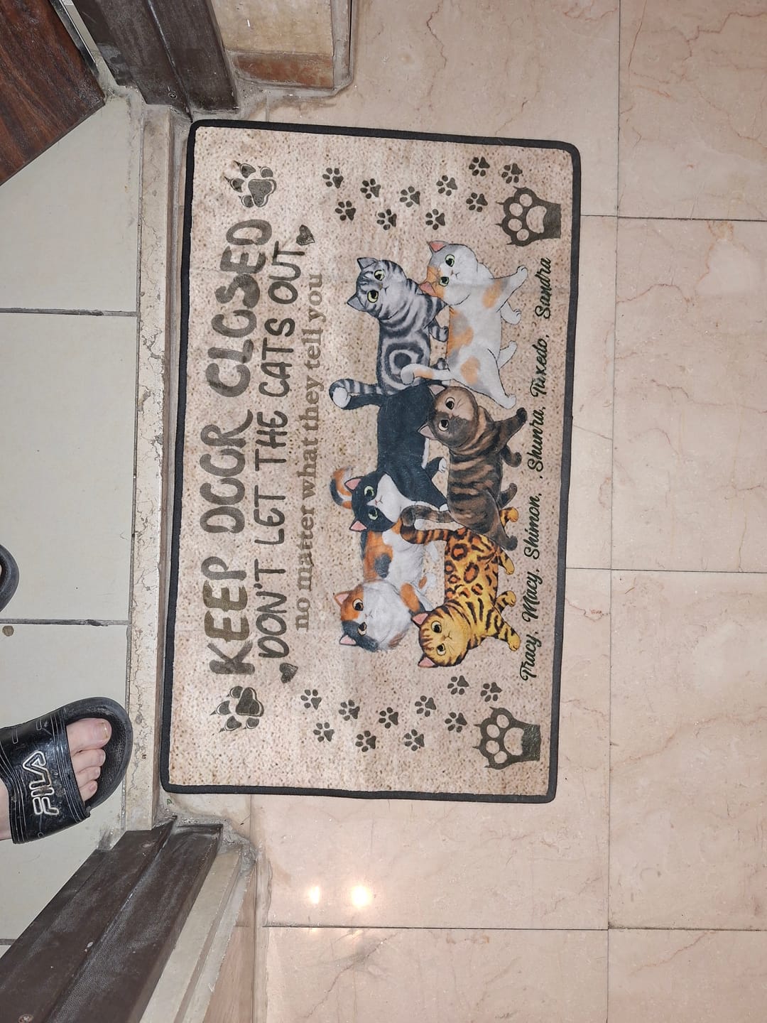Customer photo review of Personalized Doormat - Keep Door Closed - Don't Let The Cats Out No Matter What They Tell You